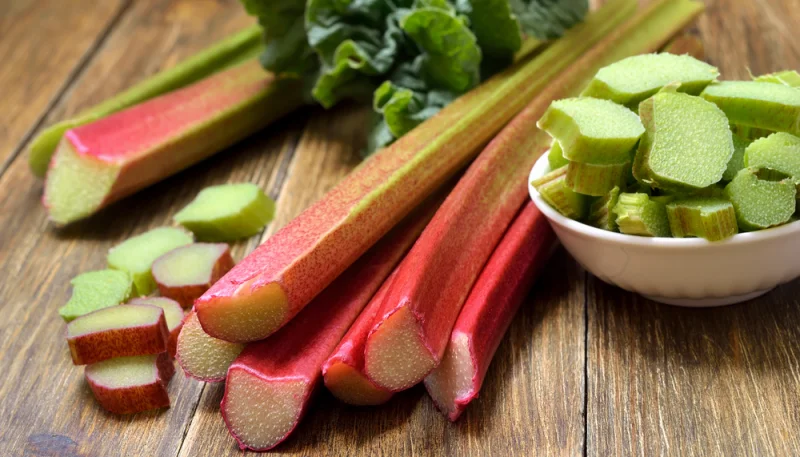 Rhubarbe
