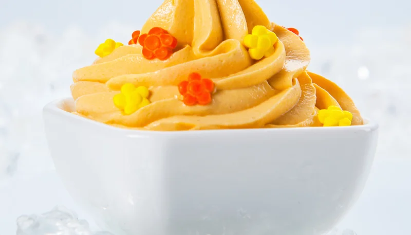 Yaourt glacé au melon