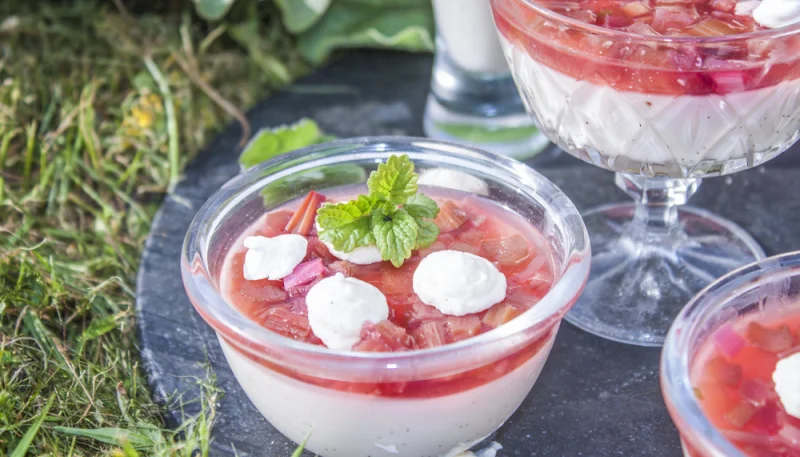 Panna cotta à la rhubarbe