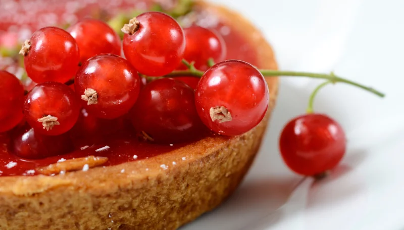 Tartelettes groseilles foie gras