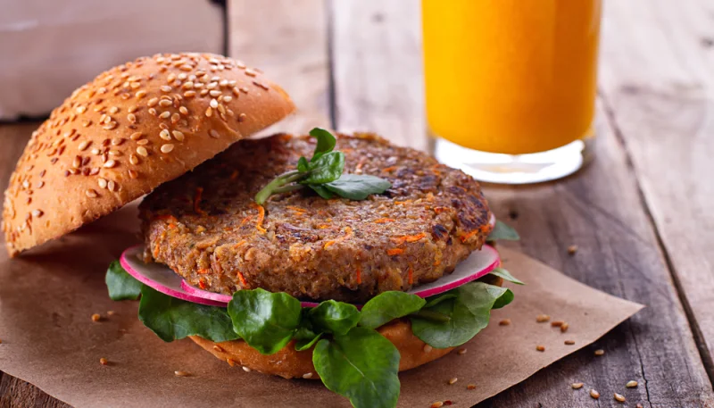 Hamburger steak de soja et radis