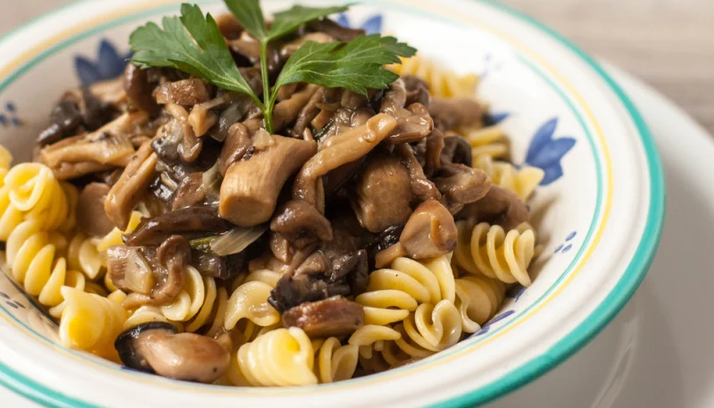 Fusili sauce stroganoff