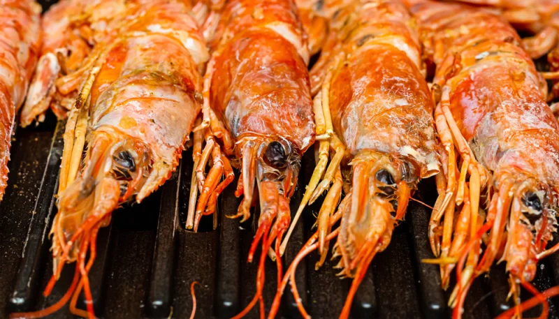 Langoustines grillées