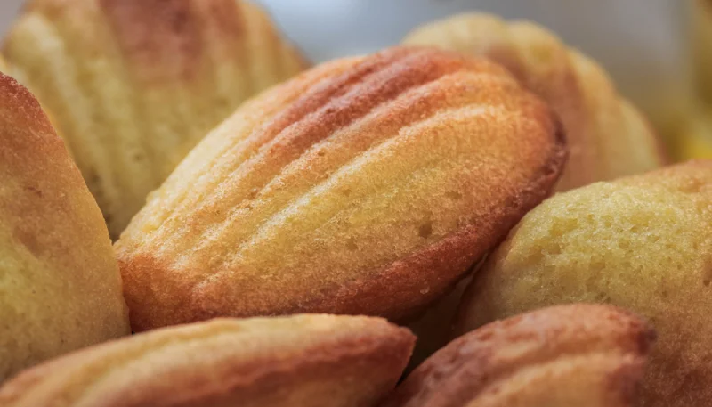 Madeleines au Mâconnais