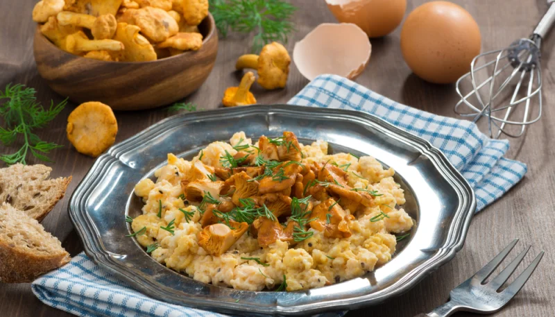 Omelette aux girolles