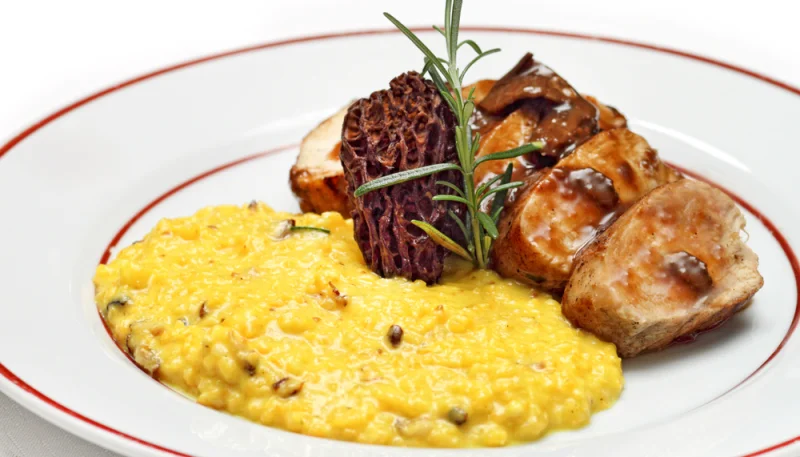 Poulet aux morilles