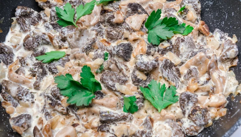 Sauce morilles vin jaune