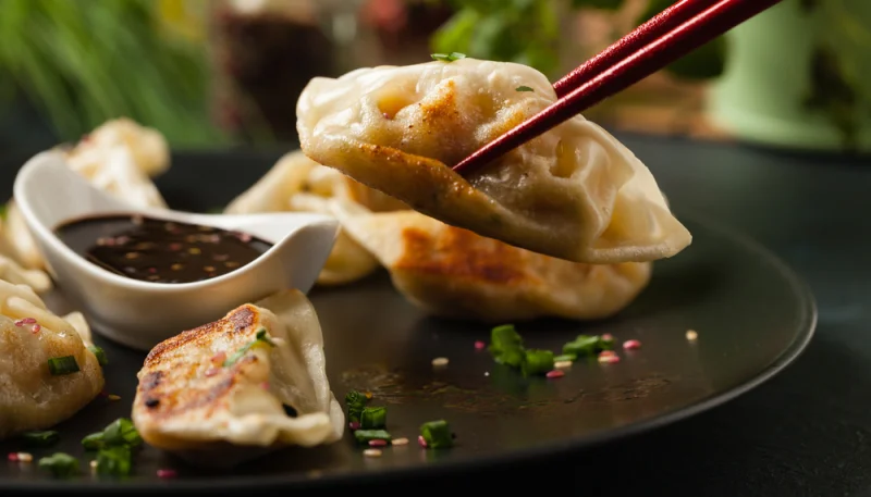 Gyoza au poulet
