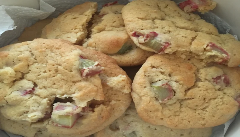 Biscuits à la rhubarbe