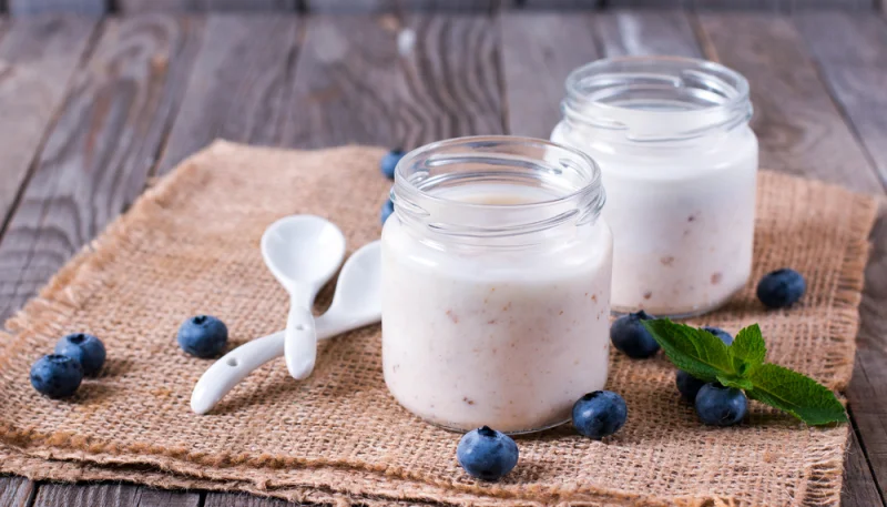 Comparatif des meilleures yaourtières