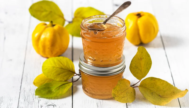 Gelée de coing