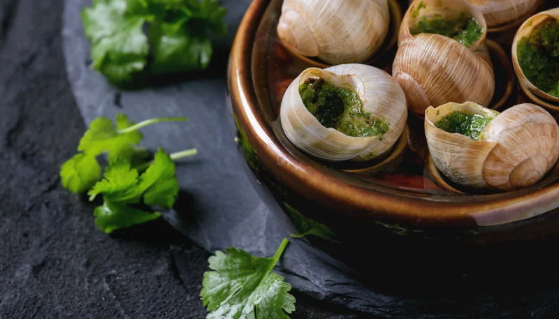 Escargots de Bourgogne