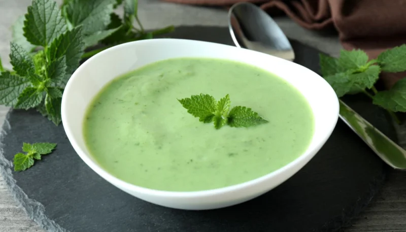 Soupe froide de concombre et kiwi