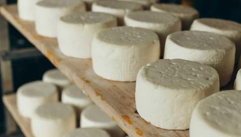 Quelles sont les variétés et les diversités du fromage de chèvre ?