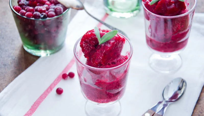 Sorbet canneberge