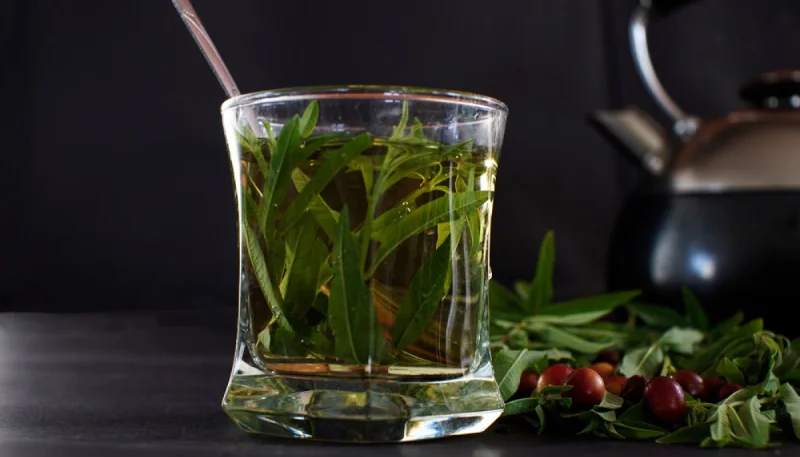 Infusion glacée de verveine