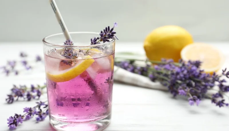 Limonade à la lavande