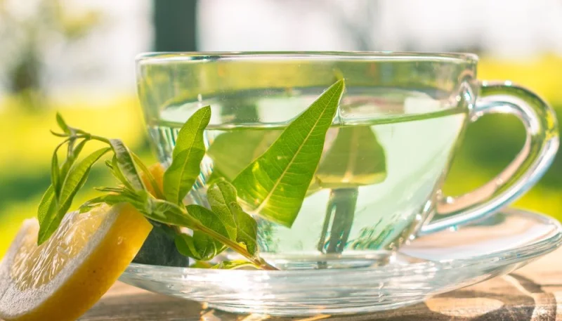 Sirop de verveine