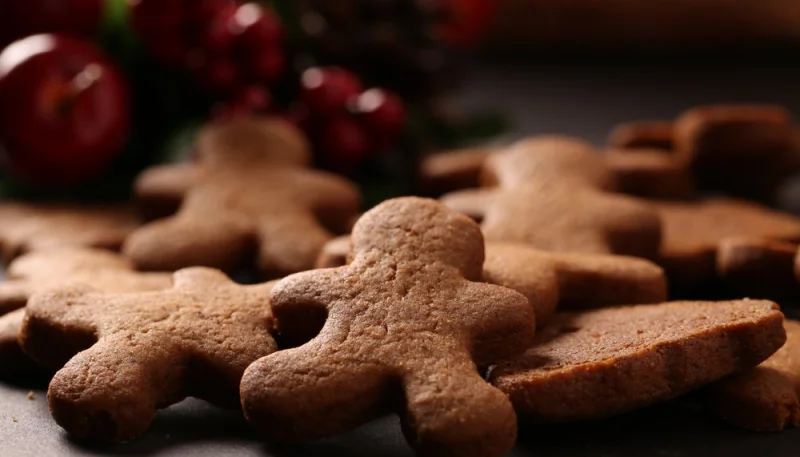 Biscuits aux épices de Noël (pain d’épices revisité)