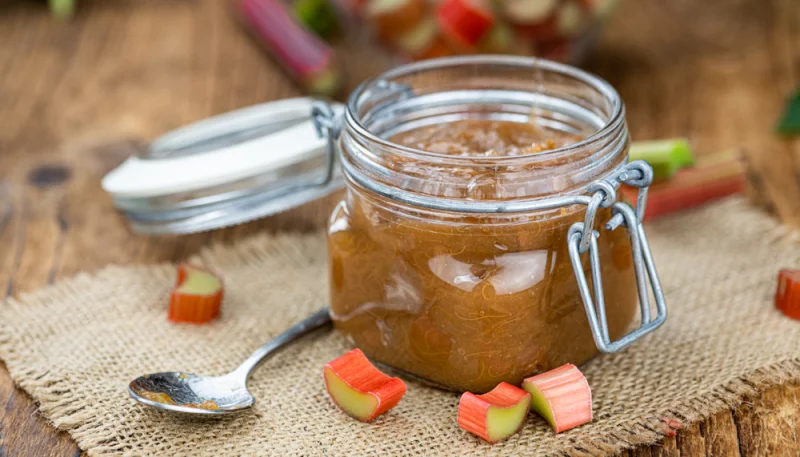 Compote de rhubarbe légère au miel