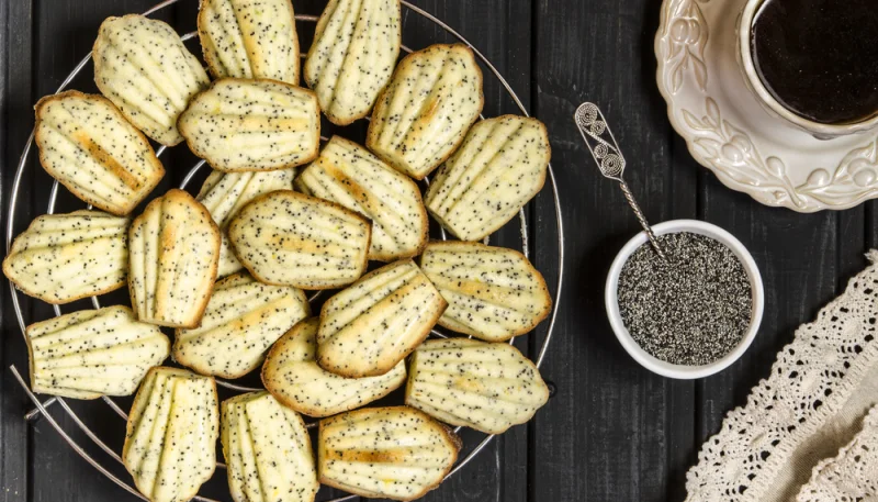Madeleines au citron et pavot