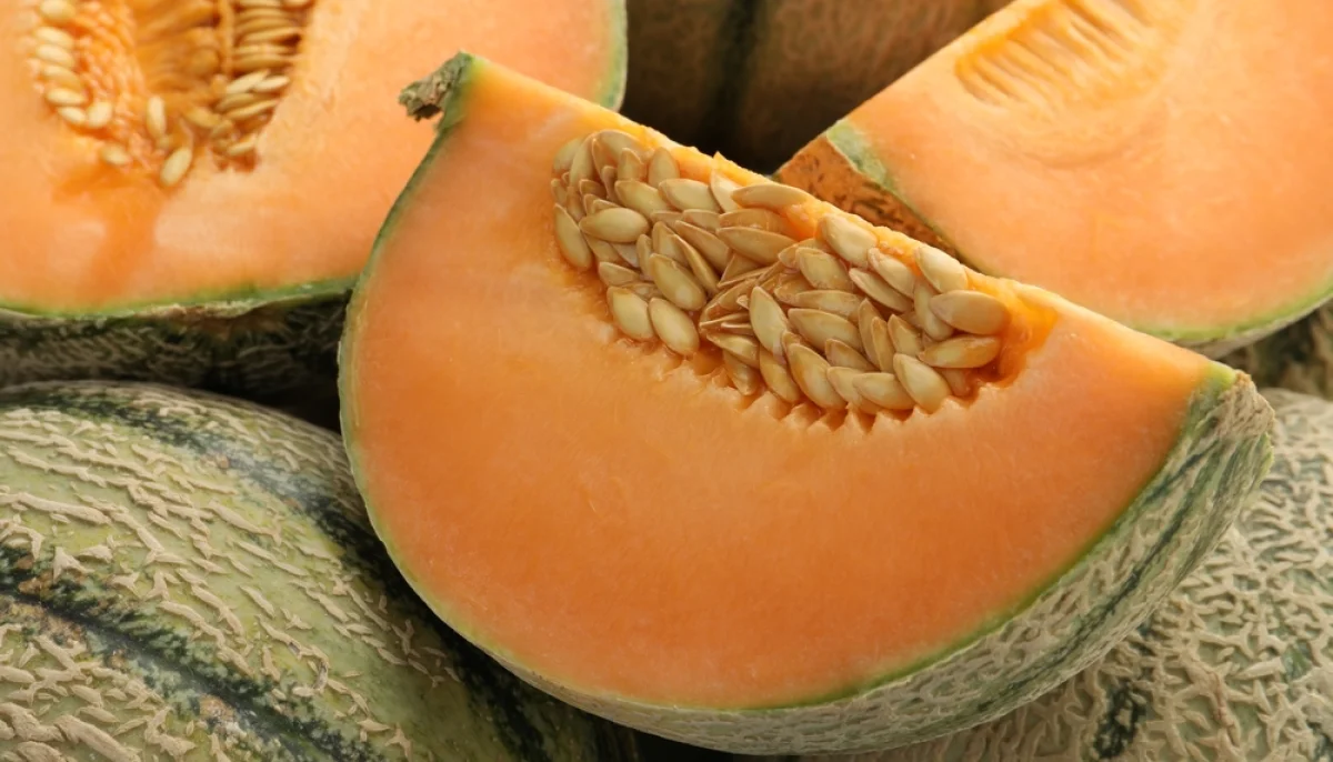 🍈 Melon : bienfaits, variétés, astuces et recettes pour en profiter tout l’été