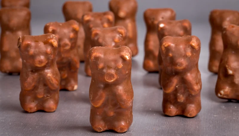 🍫 Oursons en guimauve maison