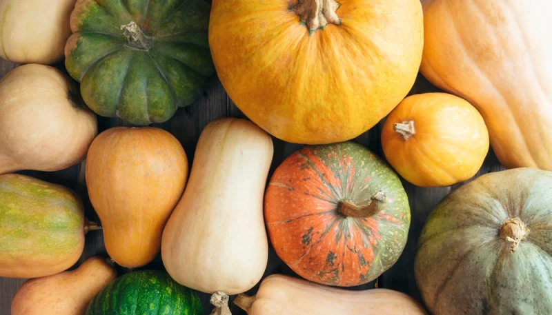 🎃 Comment cuisiner les courges d’automne : recettes, astuces et idées créatives