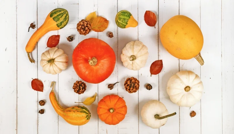 Courges : variétés, bienfaits et recettes gourmandes pour l’automne