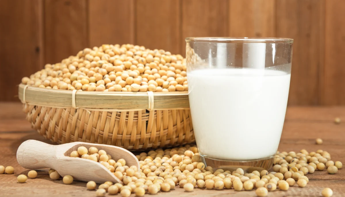 🌱 Soja : bienfaits, recettes et conseils pour bien le consommer au quotidien