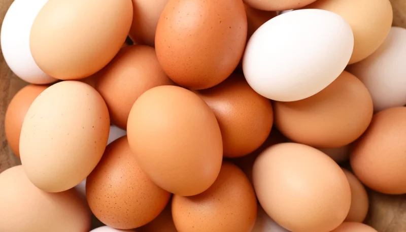 Substituts végétaliens : Remplacer les œufs dans vos recettes