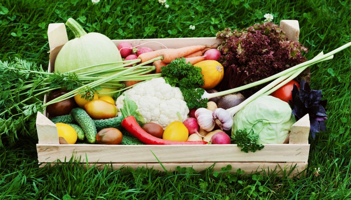 🌍 L'impact écologique de nos choix alimentaires : réduire son empreinte carbone en cuisinant