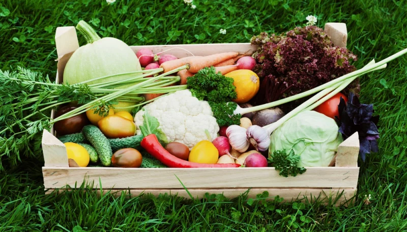 🌍 L'impact écologique de nos choix alimentaires : réduire son empreinte carbone en cuisinant