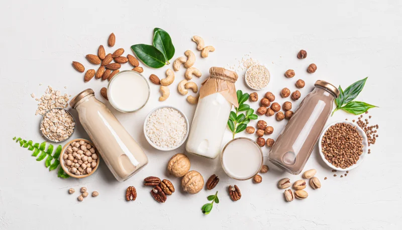 🥛 Le monde des laits végétaux : quelle option choisir ?