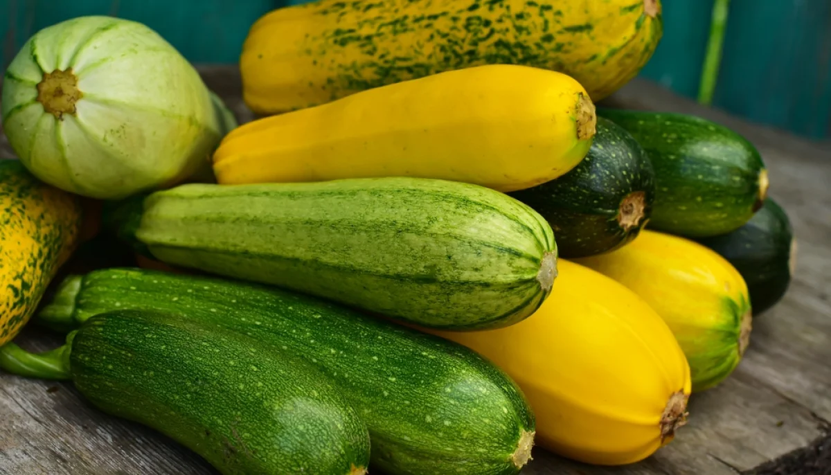 🥒 Que faire avec des courgettes ? 12 idées rapides pour ne plus s'ennuyer