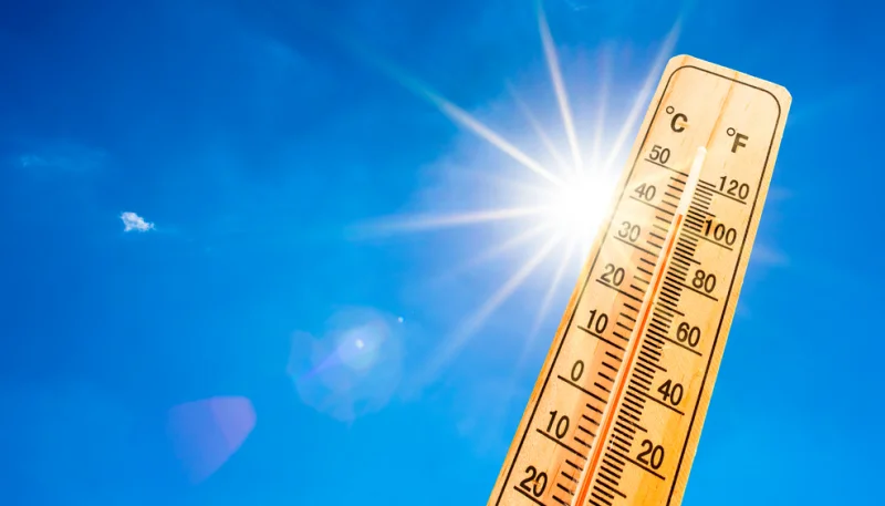 🌡️ Forte chaleur : 8 repas sans allumer le four ni la plaque, prêts en moins de 15 minutes