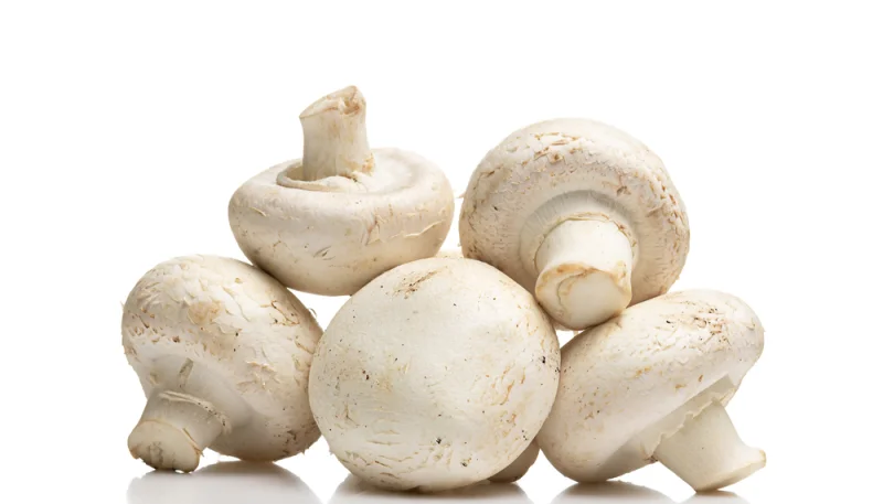🍄 Champignons de Paris : faut-il vraiment les laver ou les éplucher avant de les cuire ?